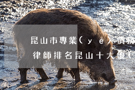 昆山市專業(yè)債務(wù)逾期訴訟律師排名(昆山十大優(yōu)秀律師)