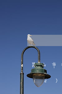 昆山市律師事務所哪個有名(昆山律師協(xié)會)