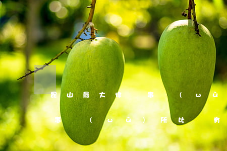 昆山最大律師事務(wù)所(昆山哪家律師事務(wù)所比較有名)