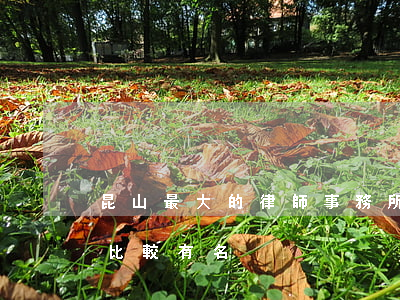 昆山最大的律師事務所(昆山哪家律師事務所比較有名)