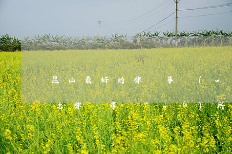 昆山最好的律師事務(wù)所排名(昆明知名律師事務(wù)所排名)