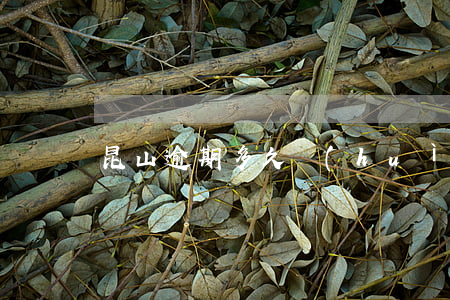 昆山逾期多久會(huì)被限行