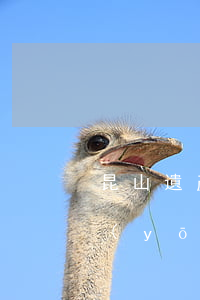 昆山遺產(chǎn)律師排行(昆山十大優(yōu)秀律師)