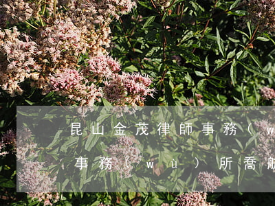昆山金茂律師事務(wù)所(昆山金茂律師事務(wù)所喬航律師)