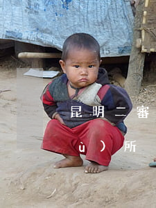 昆明二審律師怎么委托(找昆明律師事務(wù)所)