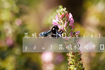 昆明信用卡協(xié)商機(jī)構(gòu)(昆明信用卡協(xié)商機(jī)構(gòu))