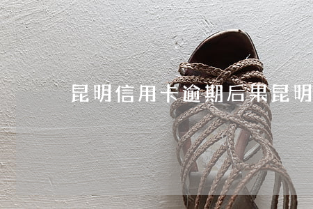 昆明信用卡逾期后果(昆明信用卡逾期后果)