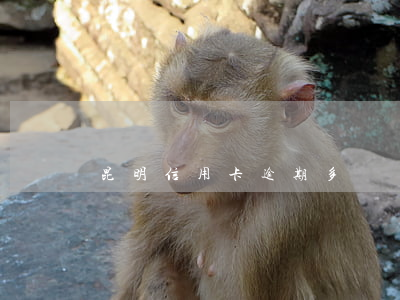 昆明信用卡逾期多嗎