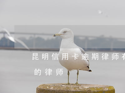 昆明信用卡逾期律师 有没有处理信用卡逾期的律师