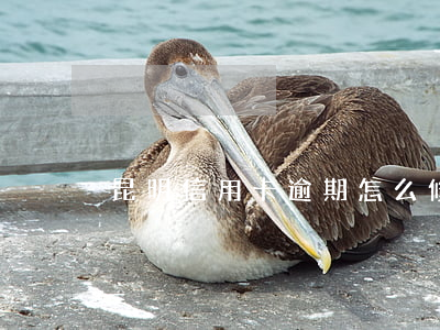 昆明信用卡逾期怎么修復(fù)