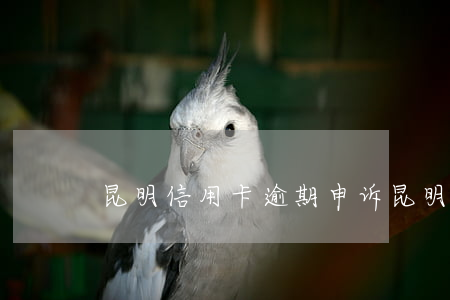 昆明信用卡逾期申诉 昆明信用卡逾期申诉