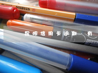 昆明信用卡逾期還有網(wǎng)貸律師