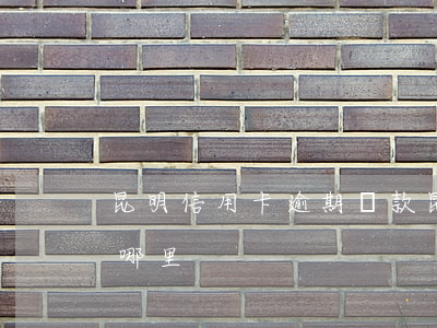 昆明信用卡逾期還款(昆明信用卡逾期還款去哪里)