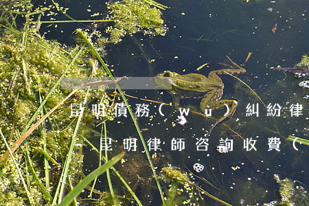 昆明債務(wù)糾紛律師收費(fèi)-昆明律師咨詢收費(fèi)標(biāo)準(zhǔn)