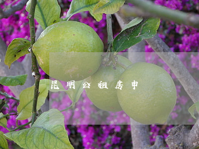 昆明公租房申請