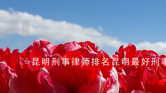 昆明刑事律师排名(昆明最好刑事律师)