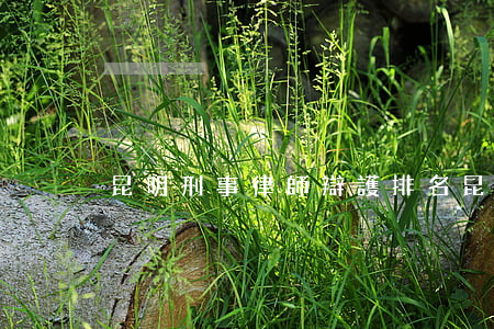 昆明刑事律師辯護排名(昆明金牌律師的排名)