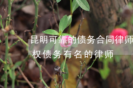 昆明可靠的债务合同律师咨询热线-昆明债权债务有名的律师