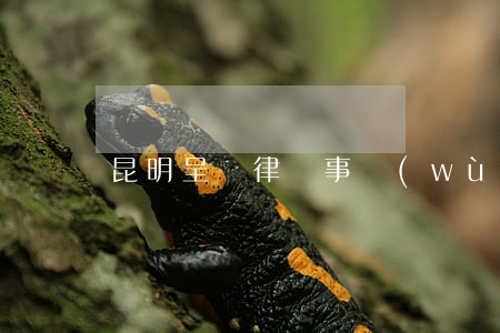 昆明呈貢律師事務(wù)所