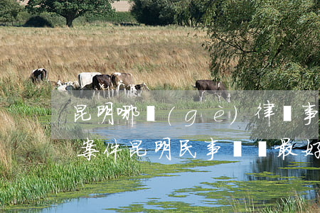 昆明哪個(gè)律師事務(wù)所民事案件(昆明民事糾紛最好的律師)