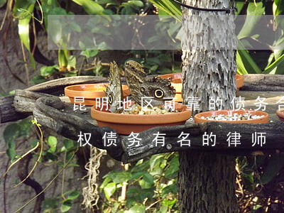 昆明地区可靠的债务合同律师排名-昆明债权债务有名的律师