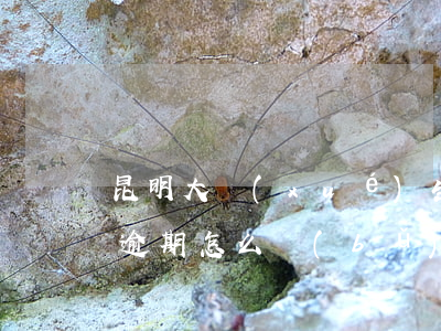 昆明大學(xué)生助學(xué)貸款逾期怎么補(bǔ)救