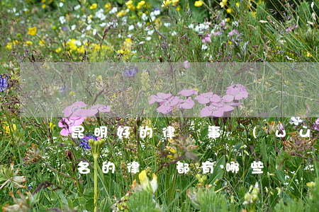 昆明好的律師事務(wù)所有哪些(昆明有名的律師都有哪些)
