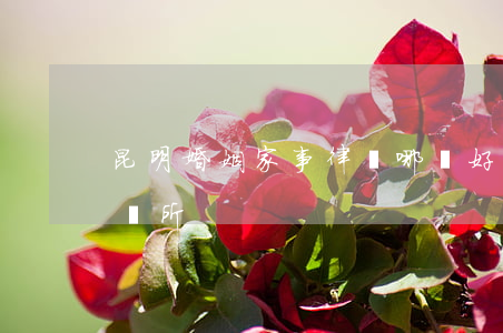昆明婚姻家事律師哪個好(昆明靠譜的婚姻介紹所)