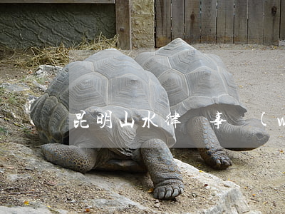 昆明山水律師事務(wù)所(昆明 律師)