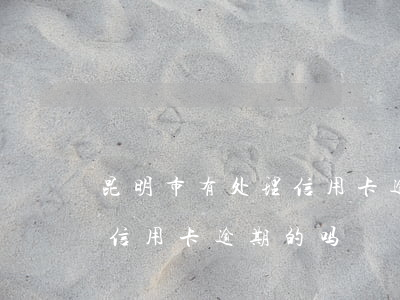 昆明市有处理信用卡逾期的吗(昆明市有处理信用卡逾期的吗)