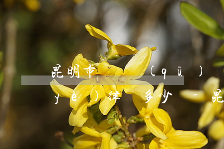 昆明市盤龍區(qū)債務(wù)專業(yè)律師多少錢-昆明債務(wù)律師咨詢