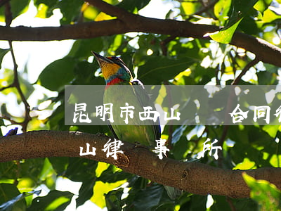 昆明市西山債務合同律師案件咨詢-昆明西山律師事務所