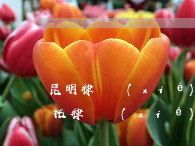 昆明律師協(xié)商信用卡(欠信用卡委托律師協(xié)商)
