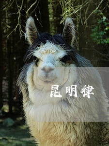 昆明律師所(律師事務所昆明)