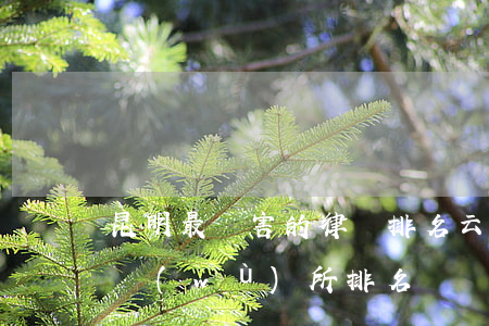 昆明最厲害的律師排名(云南昆明十大律師事務(wù)所排名)