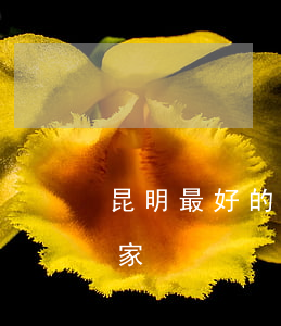 昆明最好的律师(昆明最好的律师事务所是哪家)