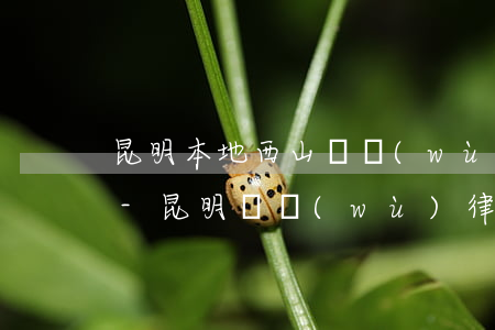 昆明本地西山債務(wù)合同律師哪里找-昆明債務(wù)律師咨詢