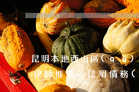 昆明本地西山區(qū)債務(wù)合同律師推薦-昆明債務(wù)律師咨詢