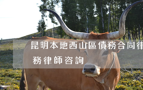 昆明本地西山區債務合同律師推薦-昆明債務律師咨詢