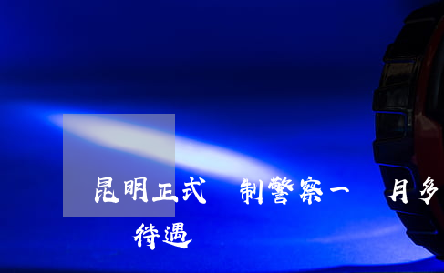 昆明正式編制警察一個月多少錢(云南民警工資待遇)
