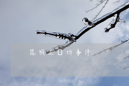 昆明正義坊事件
