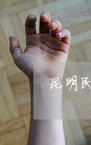 昆明民事律师(昆明民事律师事务所排名)