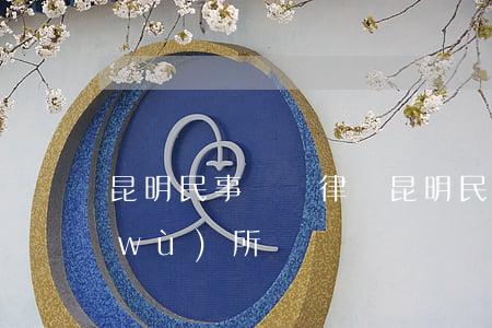 昆明民事糾紛律師(昆明民事糾紛律師事務(wù)所)