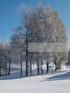 昆明涉外律師事務(wù)所(昆明 律師)