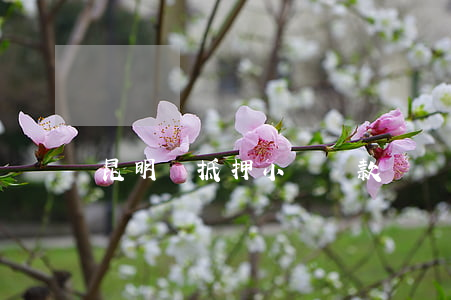 昆明無抵押小額貸款
