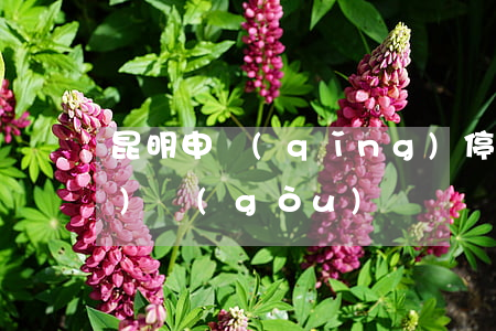 昆明申請(qǐng)停息掛賬的機(jī)構(gòu)