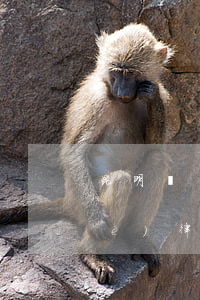 昆明盤龍區(qū)債務(wù)專業(yè)律師聯(lián)系方式-昆明盤龍區(qū)債務(wù)專業(yè)律師聯(lián)系方式電話
