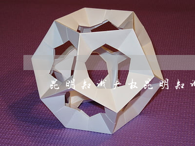 昆明知识产权(昆明知识产权服务有限公司)