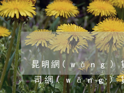 昆明網(wǎng)貸逾期修復(fù)公司(網(wǎng)貸逾期可以修復(fù)嗎)