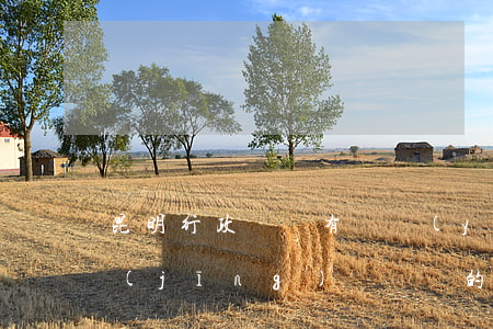 昆明行政訴訟有專業(yè)律師嗎(昆明經(jīng)濟糾紛的10大律師)
